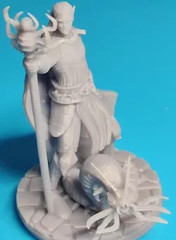 Drow Markup Mage with Carrion Crawler (male)