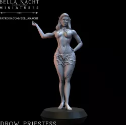 Drow Priestess - 2 versions