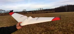 DUCK - RC Delta Wing