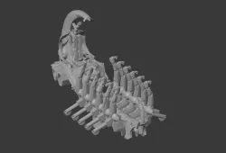 Epic Ghost Ark
