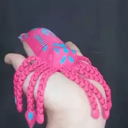 Flexi Squid