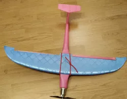FLITZI - a RC-model-speed-plane