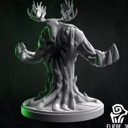 Forest Creature
