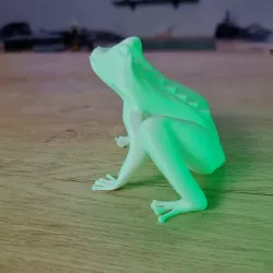 Frog with sound effect