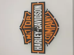 Harley Davidson watch