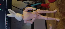 Human dummy