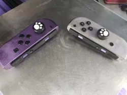 Joy Con Z Buttons Basic