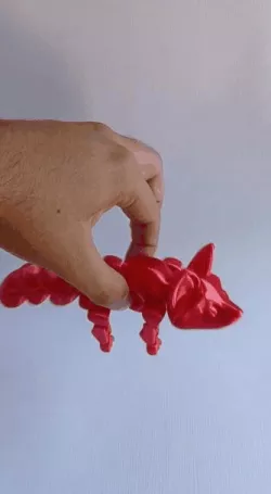 nice Zorro Flexi