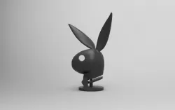 playboy bunny