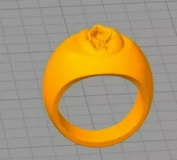 PUSSY RING - PUSSY