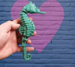 Sea Horse Chingle