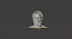 STEPHEN CURRY BUST