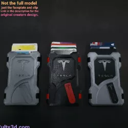 Tesla Cyberwallet