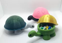 A cute turtle box