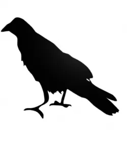 Bird Wall Decor