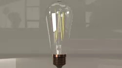Bulb