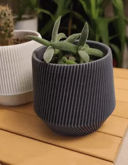 Cactus Pot Set