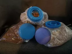 cereal bag cap