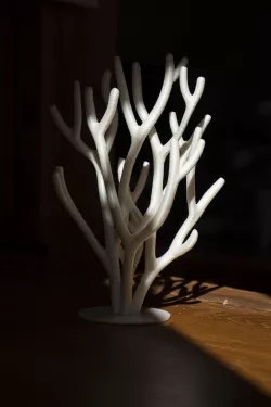 Coral