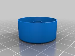 Flush toilet button