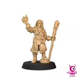 Human Wizard from Wizards & Beasts Project for Dungeons & Dragons RPG Miniatures
