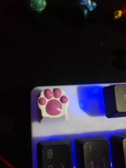 keycap kitty cat paw