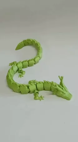 Long Dragon Flexi