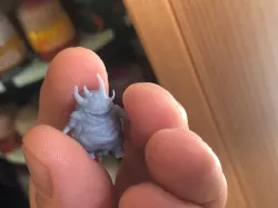 Nurgling Nurglete