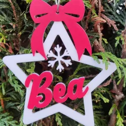 Ornament - star for christmas tree name