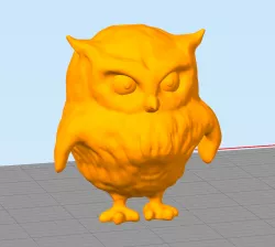 Owl in Gym