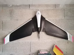 Parrot Disco hook