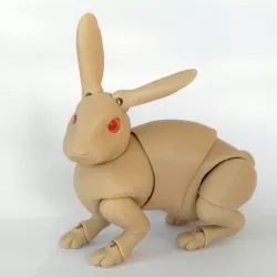 Rabbit BJD