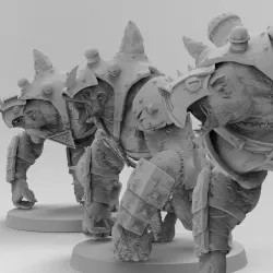 Rattus Muscularis Catafracti