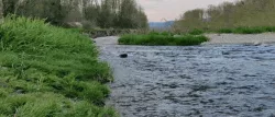 RC JET BOAT