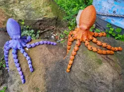 Realistic Flexible Octopus