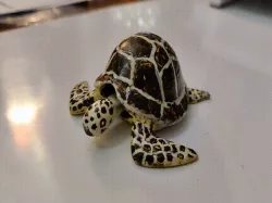 Sea Turtle Moving Head