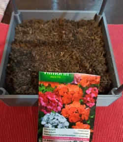 Seedling Box