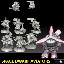 Space Dwarf Aviators