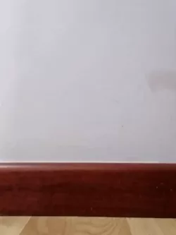 SpiderBot