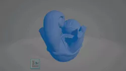 Squirtle Carapuce