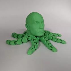 The Rocktopus