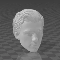 Tom Holland Head