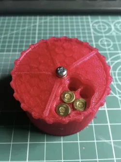 22lr 20 rounds case