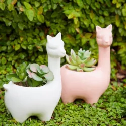 Animal flame pot