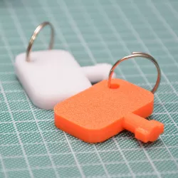 Basket Elevator Battery Key (CTE 17)