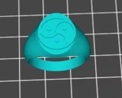 BDSM Signet Ring