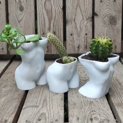 big boobs and booty woman pots planter