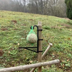 Bird feeder ball holder