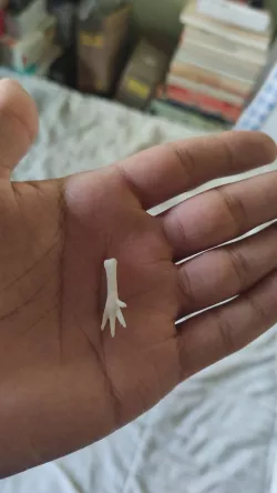 chicken foot earrings