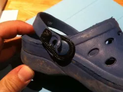 Crocs like repair parts